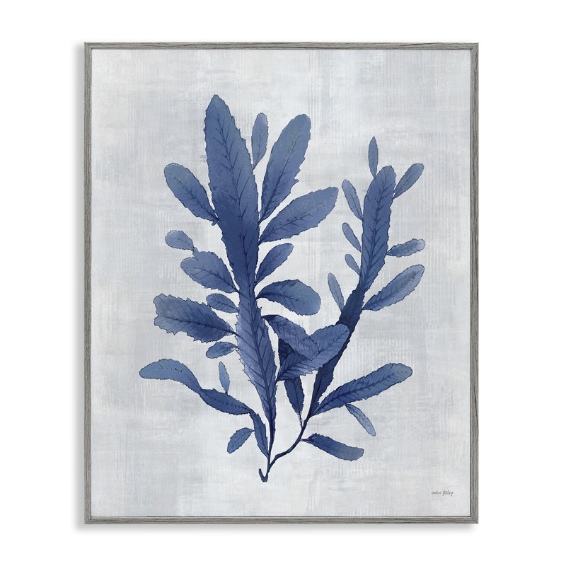 Giclée encadrée Blue Sea Algae, design par Amber Sterling, H 14 po x l 11 po, Estampe numérique Farmhouse