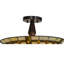 Belvidere 2 - Light Semi Flush Mount
