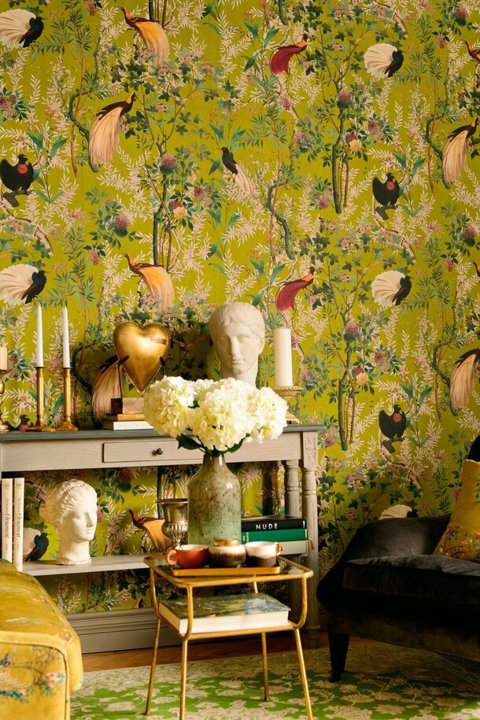 The Transylvanian Manor Collection
