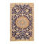 Mirhan Oriental Area Rug in Ivory
