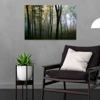 Misty Forest In Autumn Abstract Contemporary Autumn Forest Art