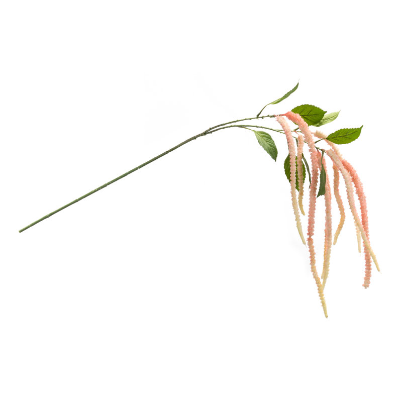 Tige florale Amaranthus (ensemble de 4), Rose