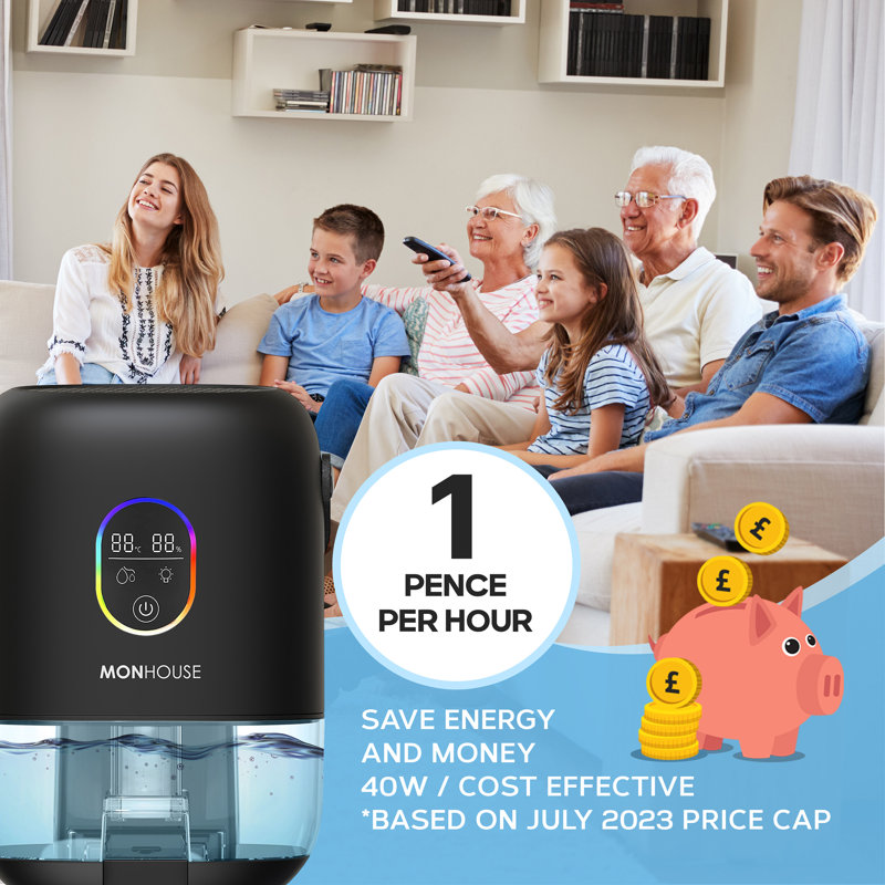 1000ml Electric Dehumidifier - Quiet Touch Screen Auto Shut Off, Black