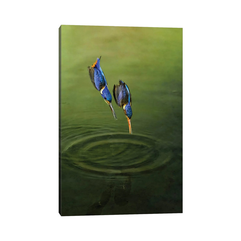 Race For Fish by Handi Nugraha - Wrapped Canvas Print, 45.72cm H x 30.48cm W x 1.905cm D