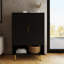Tarel 15 Pair Shoe Storage Cabinet-493357763