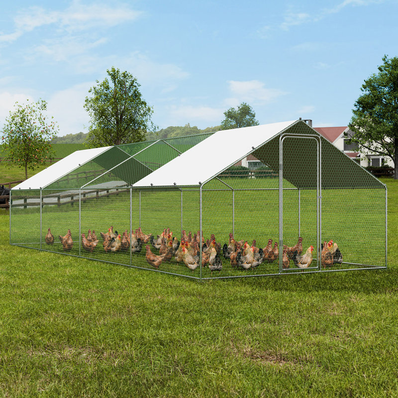 Poulailler 225 pieds carrés avec enclos