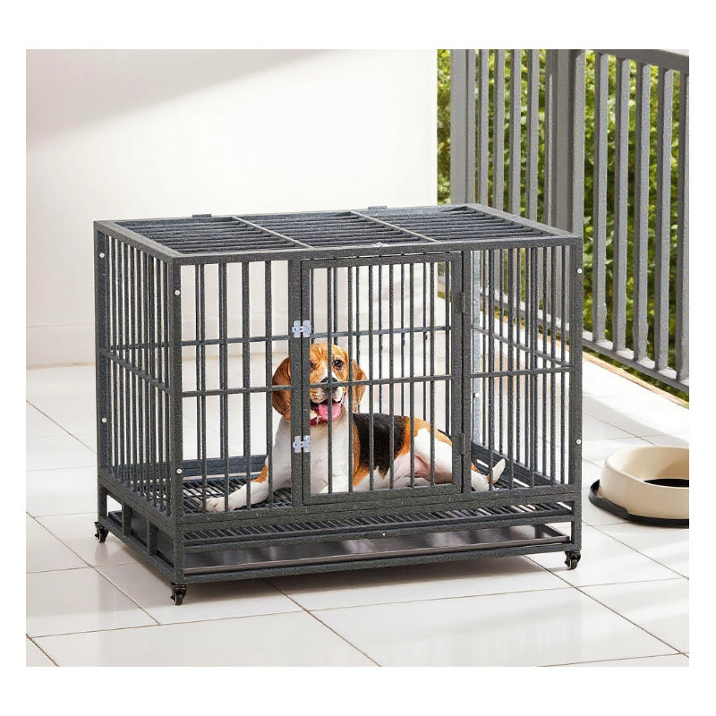 Cage en métal robuste pour chenil, Gris