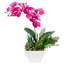 Orchidée artificielle rose en pot 13 po avec plantes succulentes
