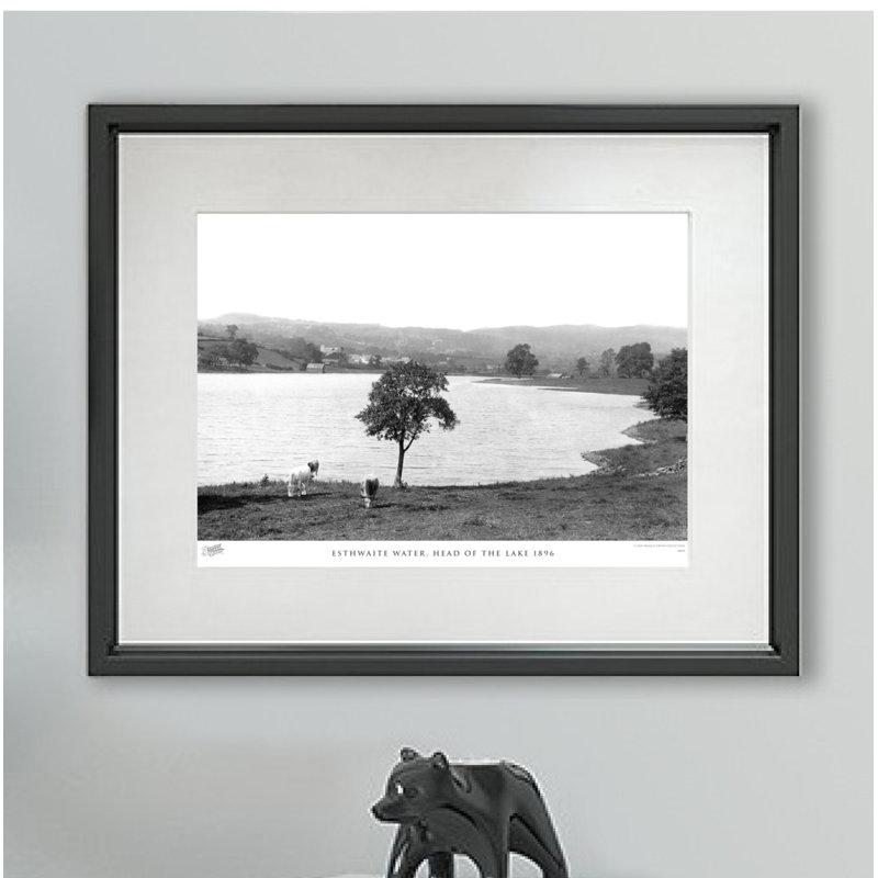 Esthwaite Water, Head Of The Lake 1896 by Francis Frith - Single Picture Frame Print, 45cm H x 60cm W x 2.3cm D