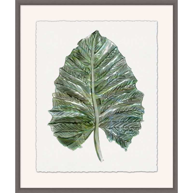 Foliage Study 3 Print