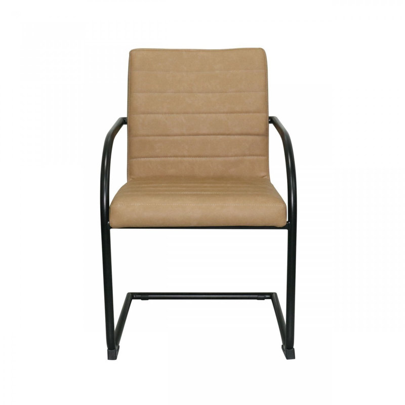 Dewey - Modern Dining Chair (Set of 2), Tan