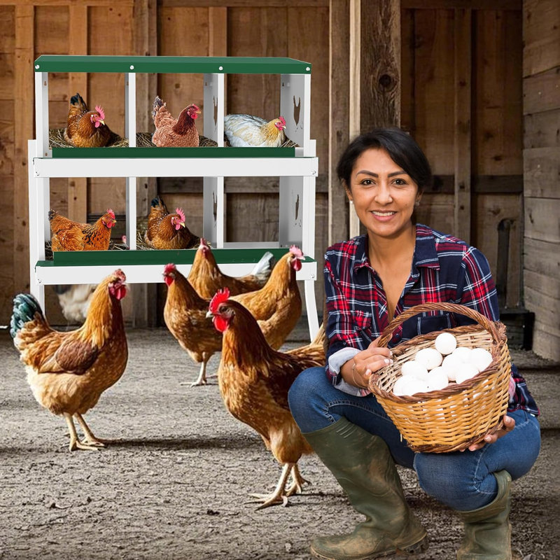 Boîte de nidification à 6 trous pour la ponte, boîte de nidification pour poulets, boîtes de nidification pour poulets, boîtes de nidification à roulettes, boîtes de nidification pour poulets, collection Easy Egg