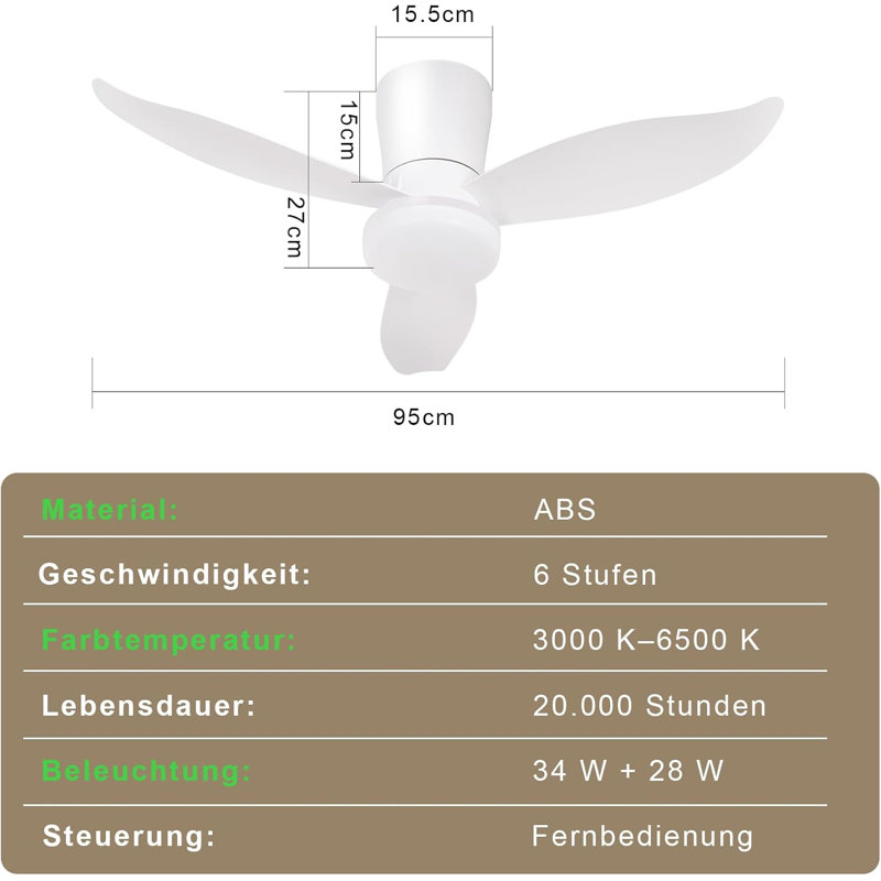 Ceiling Fan