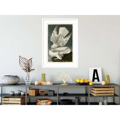 «Islande or Jer Falcon» par John James Audubon, impression giclée sur cadre