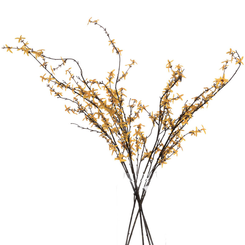 Anastasija Arrangement