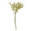 Plastic, Silk Artificial Arrangement-89222306