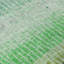 Tapis intérieur / extérieur lavable à la machine Matteson ACN2314-1708363648