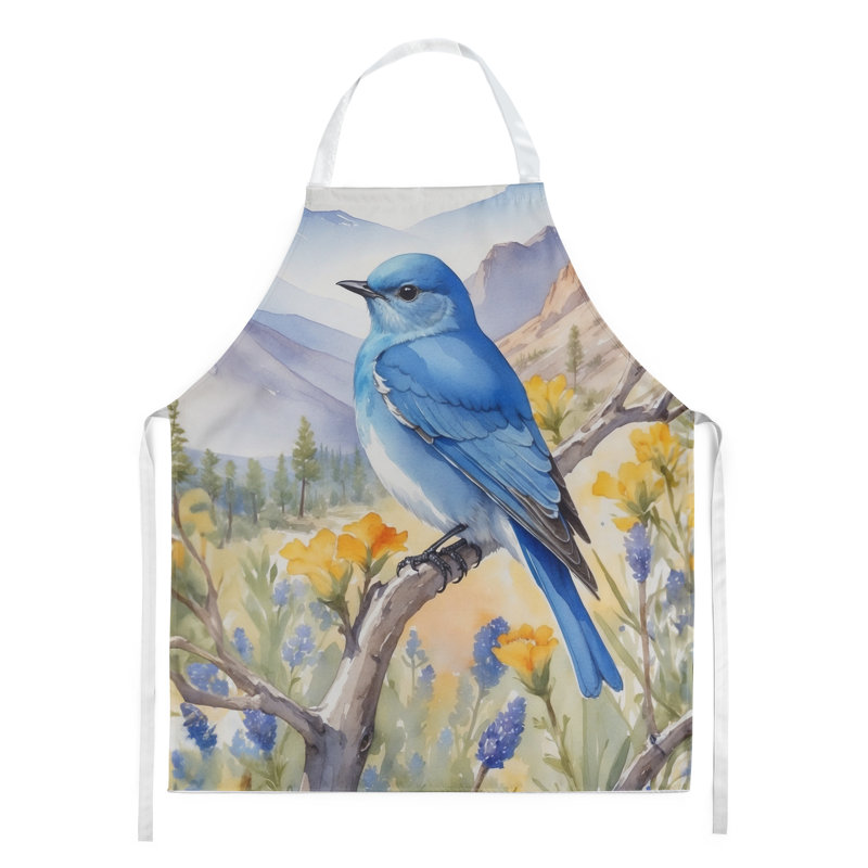 Apron, Nevada Mountain Bluebird
