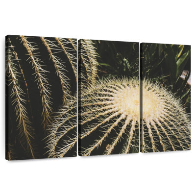 Harnek Barrel Cactus