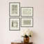 Martha Stewart Bedford, art mural en papier, plan de jardin historique II, 17,75 po x 23,75 po, décor de salon et de chambre à coucher, encadré
