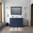Dukes 48 in W x 22 in D Single Bath Vanity-113050147