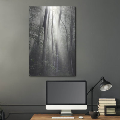 Photographie de Loon Peak® «Woodland Sun» par Nicholas Bell, art mural en métal