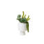 Arrangement de plantes grasses dans une urne cylindrique blanche