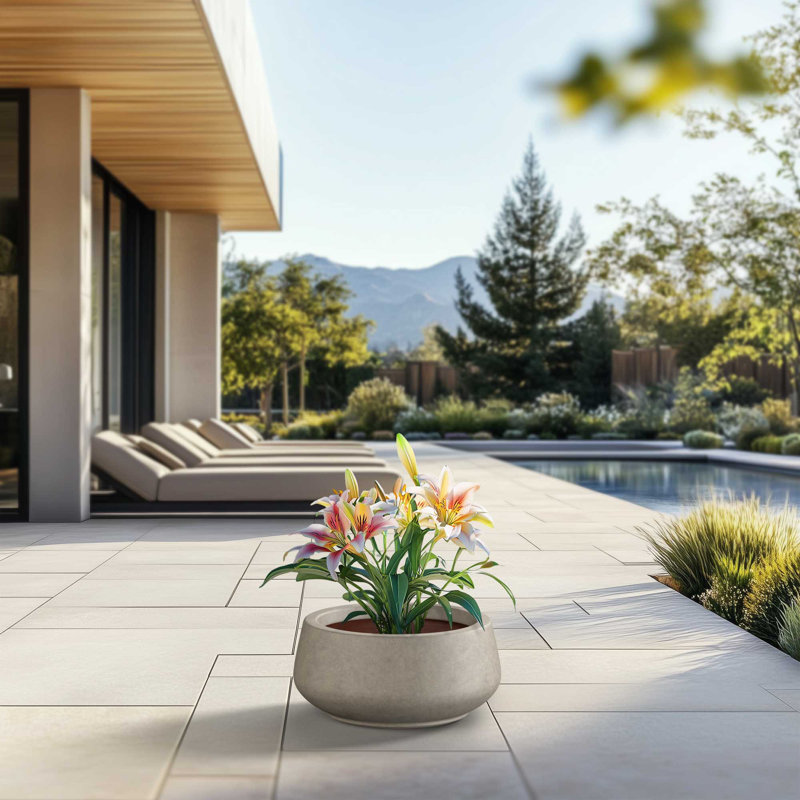 Pot à fleurs moyen rond en béton avec trous de drainage, H 7,87 po x l 16,93 po x P 16,93 po, Gris clair (intérieur amélioré)