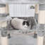 143cm H Cat Tree-605579363