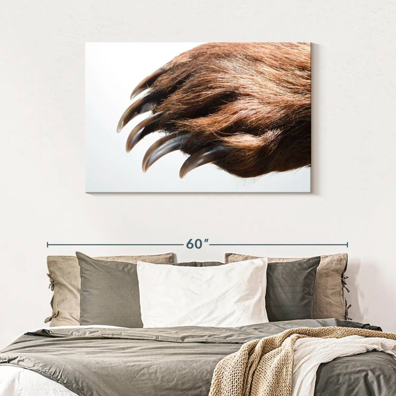 Brampt Brown Bear Claws, 30" H x 45" W