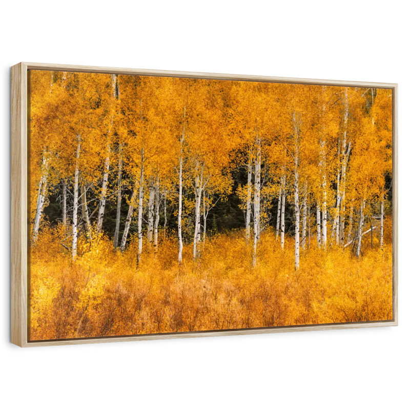Grand Teton Aspen Trees, Cadre flottant en bois naturel, 40 po x 27 po