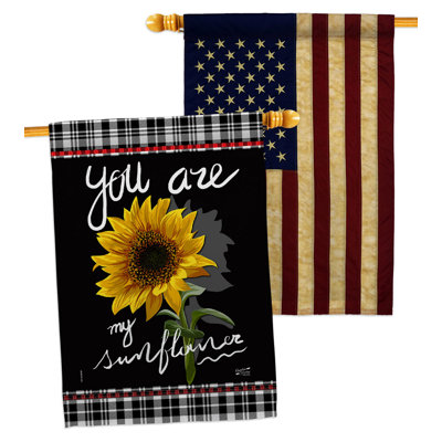Double Sided 40'' H x 28'' W Polyester House Flag