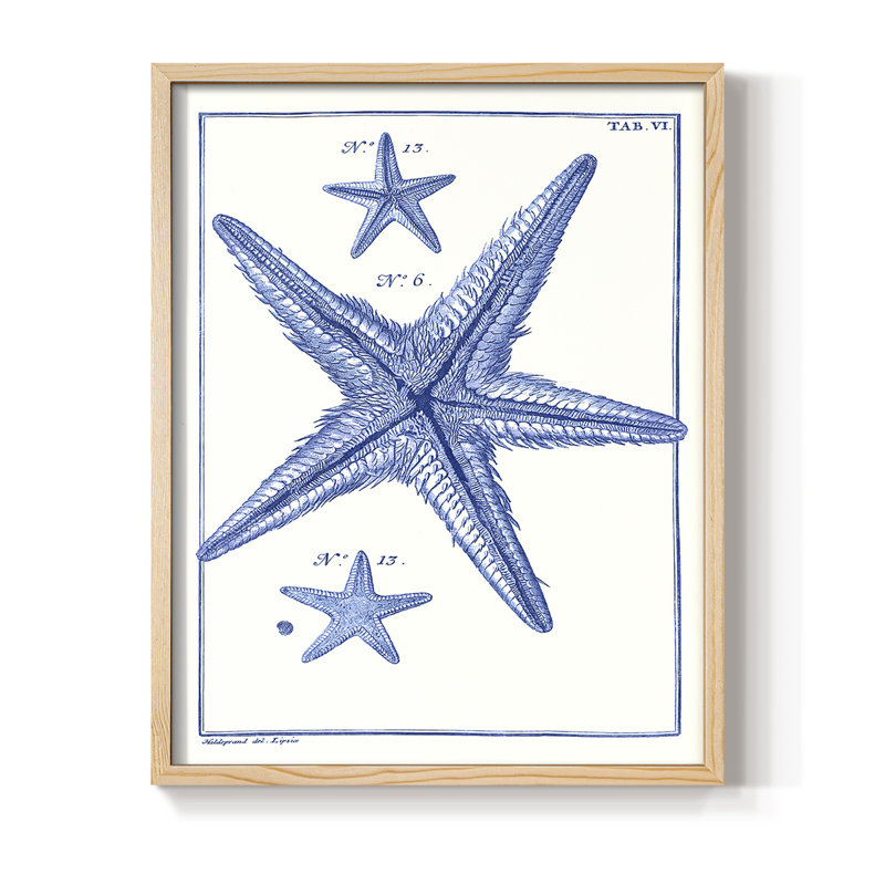 Blue Sea Stars III, reproduction encadrée - bois massif, H 30 po x l 24 po