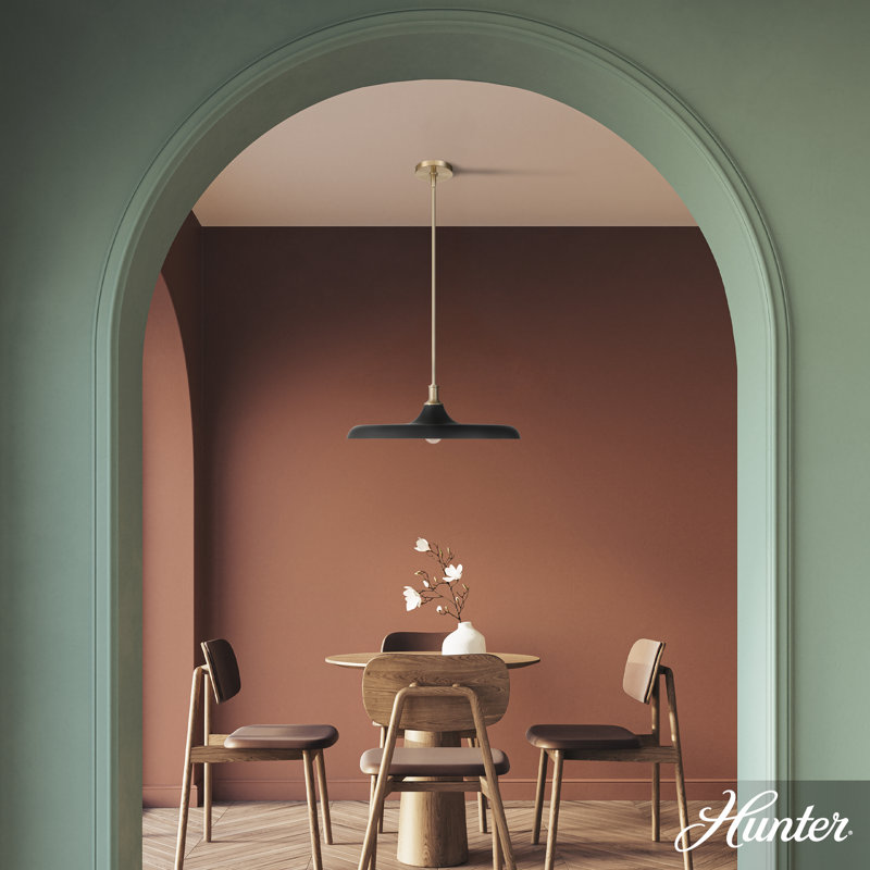 Hunter Moriso 1 Light Large Pendant Ceiling Light Fixture