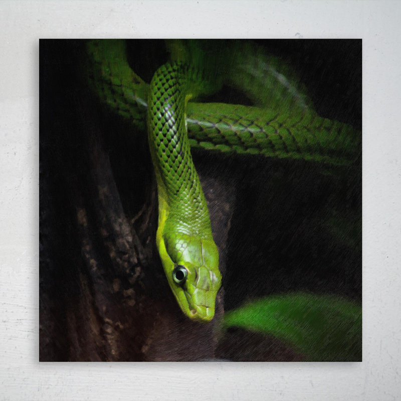 «Green Snake on Brown Tree Branch 2», peinture sur toile tendue, H 16 po x l 16 po