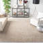 Runner Aanuoluwa Solid Colour Shag 60cm X 220cm Area Rug