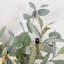 Branche d'eucalyptus artificiel 36 po 36 po