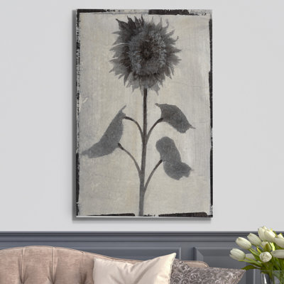 " Silk Botanicals V "