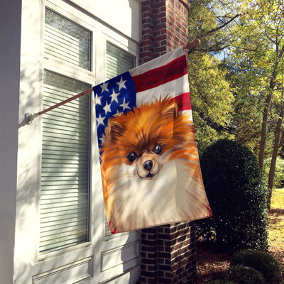 Polyester à 2 côtés 28 x 40 po drapeau maison