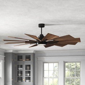 Ceiling Fans