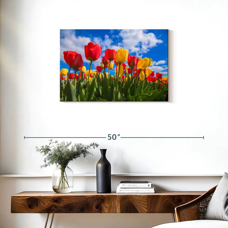 Champ de tulipes Harnek Spring, H 20 po x l 30 po