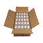 9 W (équivalent à 60 W), ampoule DEL A19 à intensité variable, culot moyen E26 (standard)-50305306