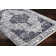 Rossman Southwestern Indoor Rug