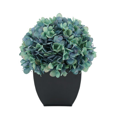 Arrangement floral hortensia en pot