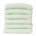 Menthe
