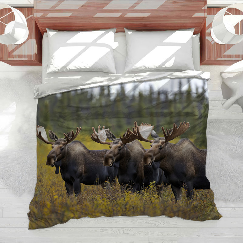 Moose Wildlife Cotton Blend Comforter, King Comforter