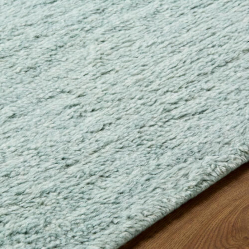 Tapis fait à la main Snuggle, Écume de mer, écume de mer, Rectangulaire 2 pi x 3 pi