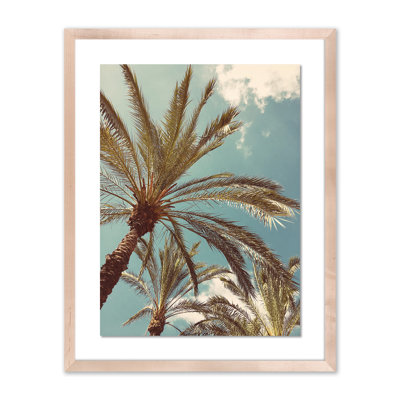 Palm II Framed Photographic Print