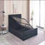 Wiltrud Upholstered Ottoman Storage Bed-1274846415