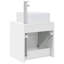 Single Bathroom Vanity with Ceramic Basin-761186538